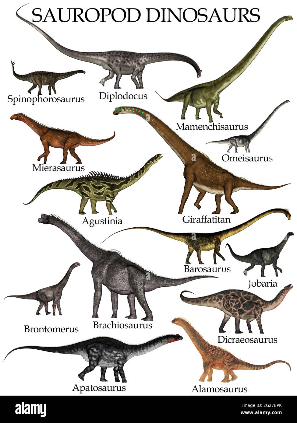 Collection de sauropodes dinosaures, isolés sur fond blanc. Banque D'Images