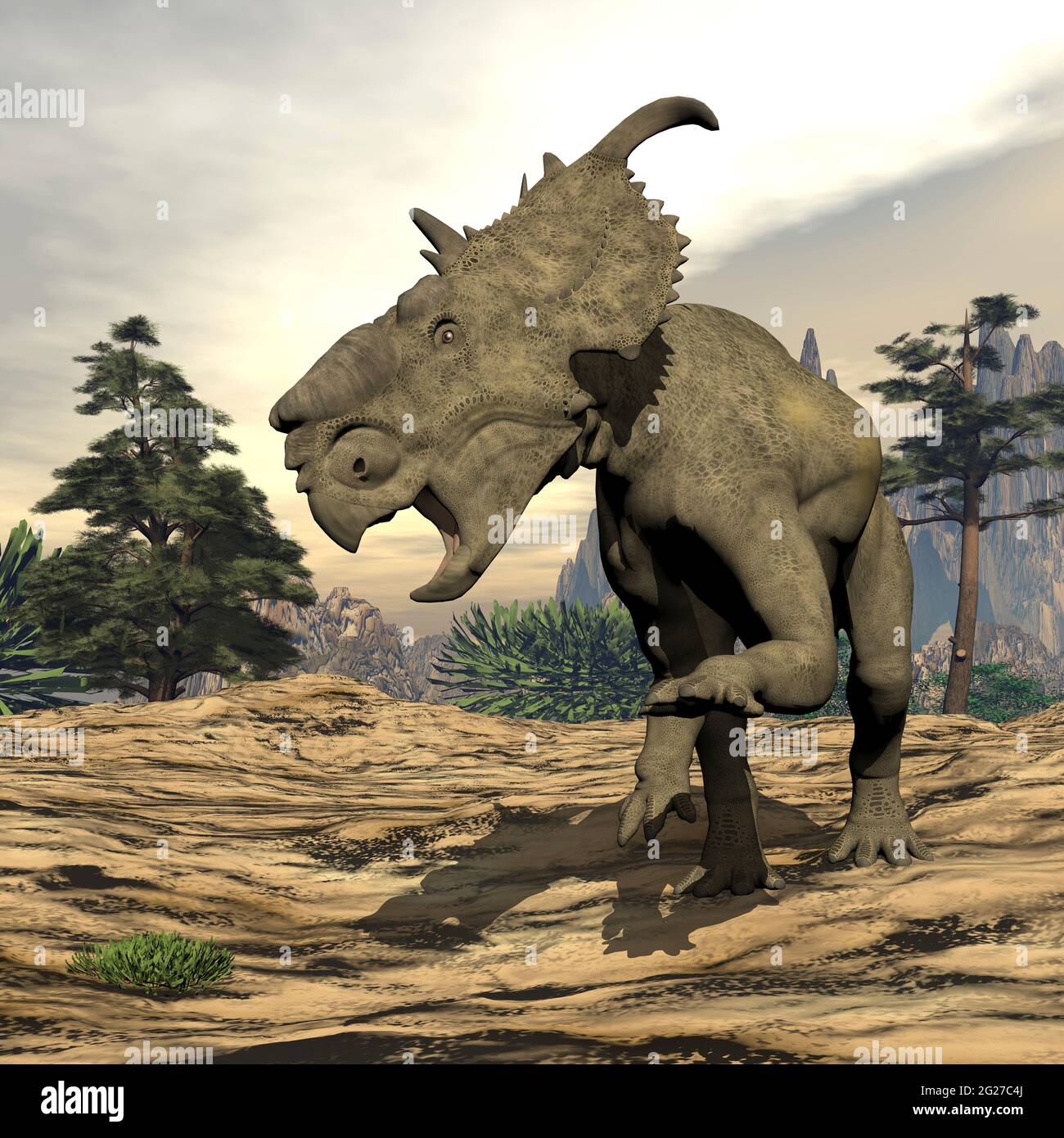 Dinosaure de Pachyrhinosaurus dans un paysage préhistorique. Banque D'Images