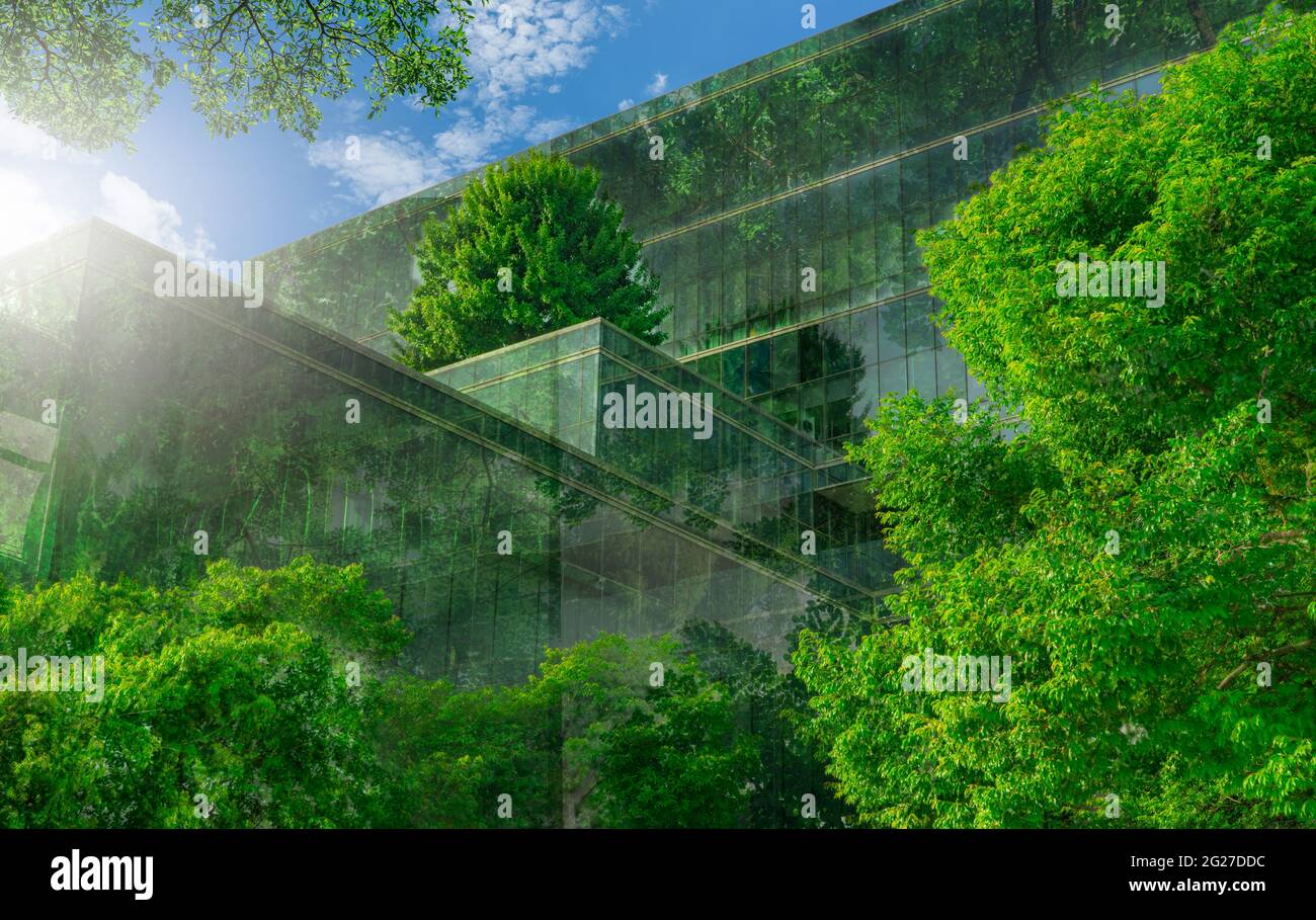 Bâtiment écologique avec jardin vertical dans une ville moderne. Forêt d'arbres verts sur un bâtiment durable en verre. Architecture d'économie d'énergie avec vertical Banque D'Images