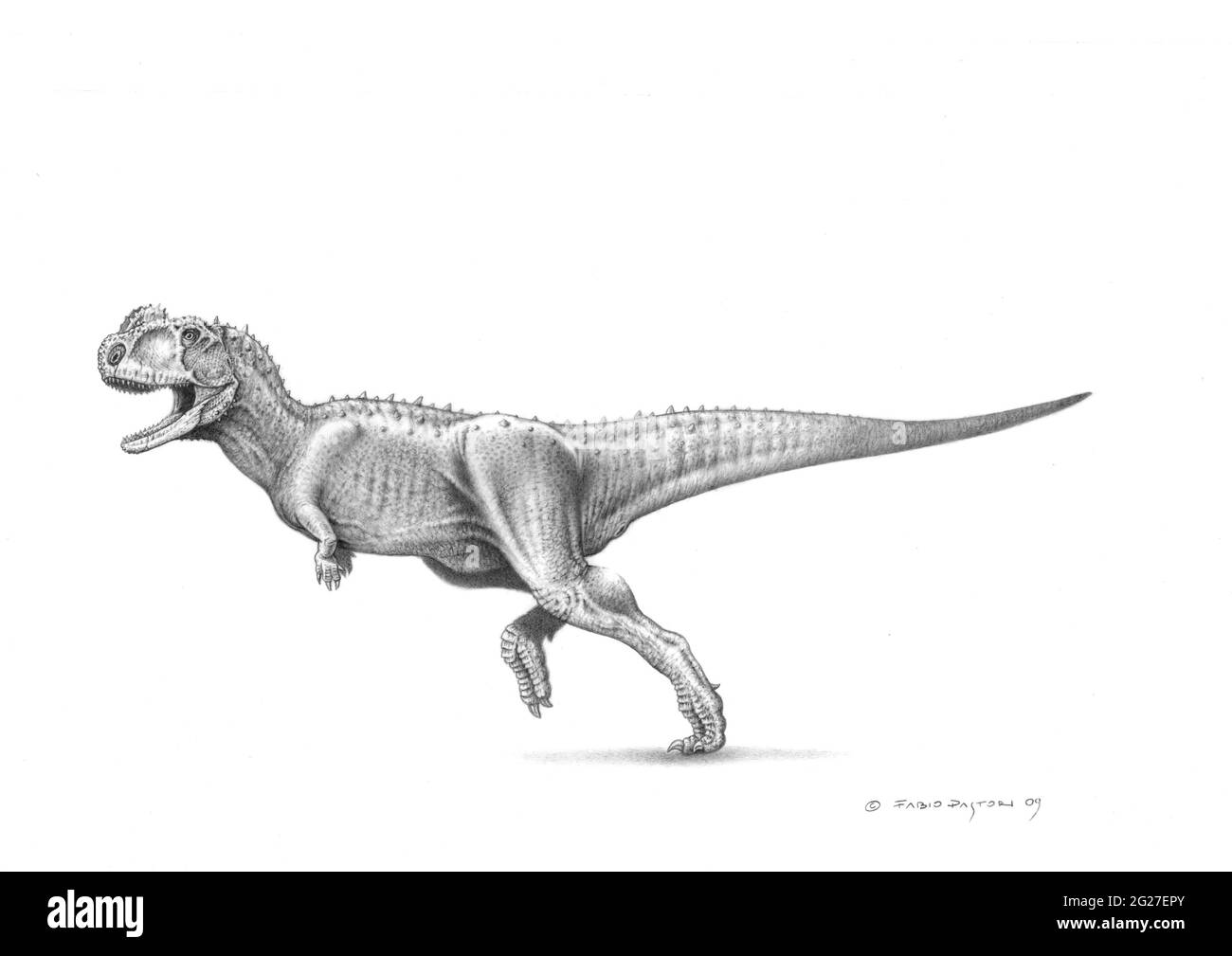 Croquis en graphite du dinosaure Rugops Primus. Banque D'Images Croquis en graphite du dinosaure Rugops Primus. Banque D'Images