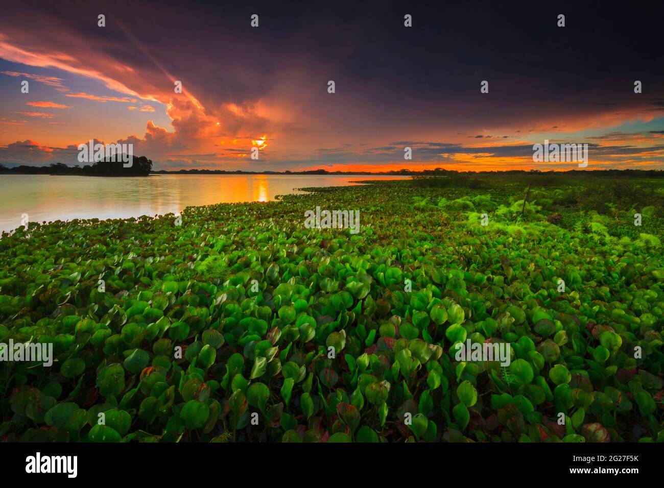 Panama paysage au coucher du soleil au bord du lac de Refugio de vida Silvestre Cienage las Macanas réserve naturelle, province de Herrera, République du Panama. Banque D'Images