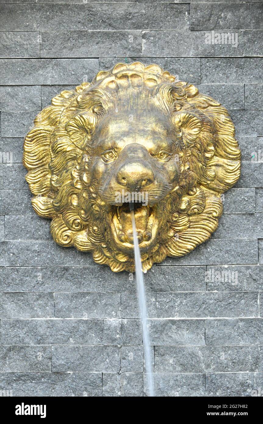 Sculpture à tête de lion dorée sur un mur en pierre qui jaillissent de l'eau Banque D'Images