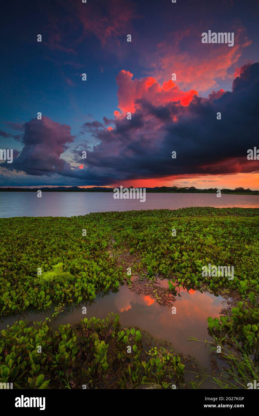 Ciel coloré au coucher du soleil au bord du lac de Refugio de vida Silvestre Cienage las Macanas réserve naturelle, province de Herrera, République du Panama. Banque D'Images