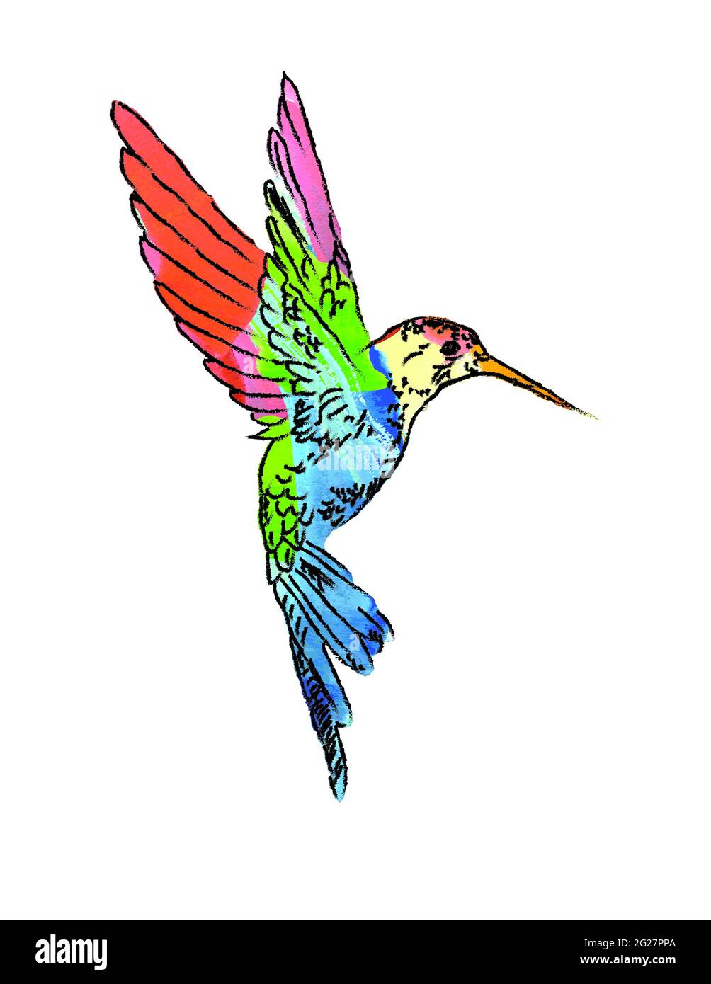 Les colibris sont des oiseaux indigènes des Amériques et constituent la famille biologique des Trochilidae. L'art Hummingbird Banque D'Images