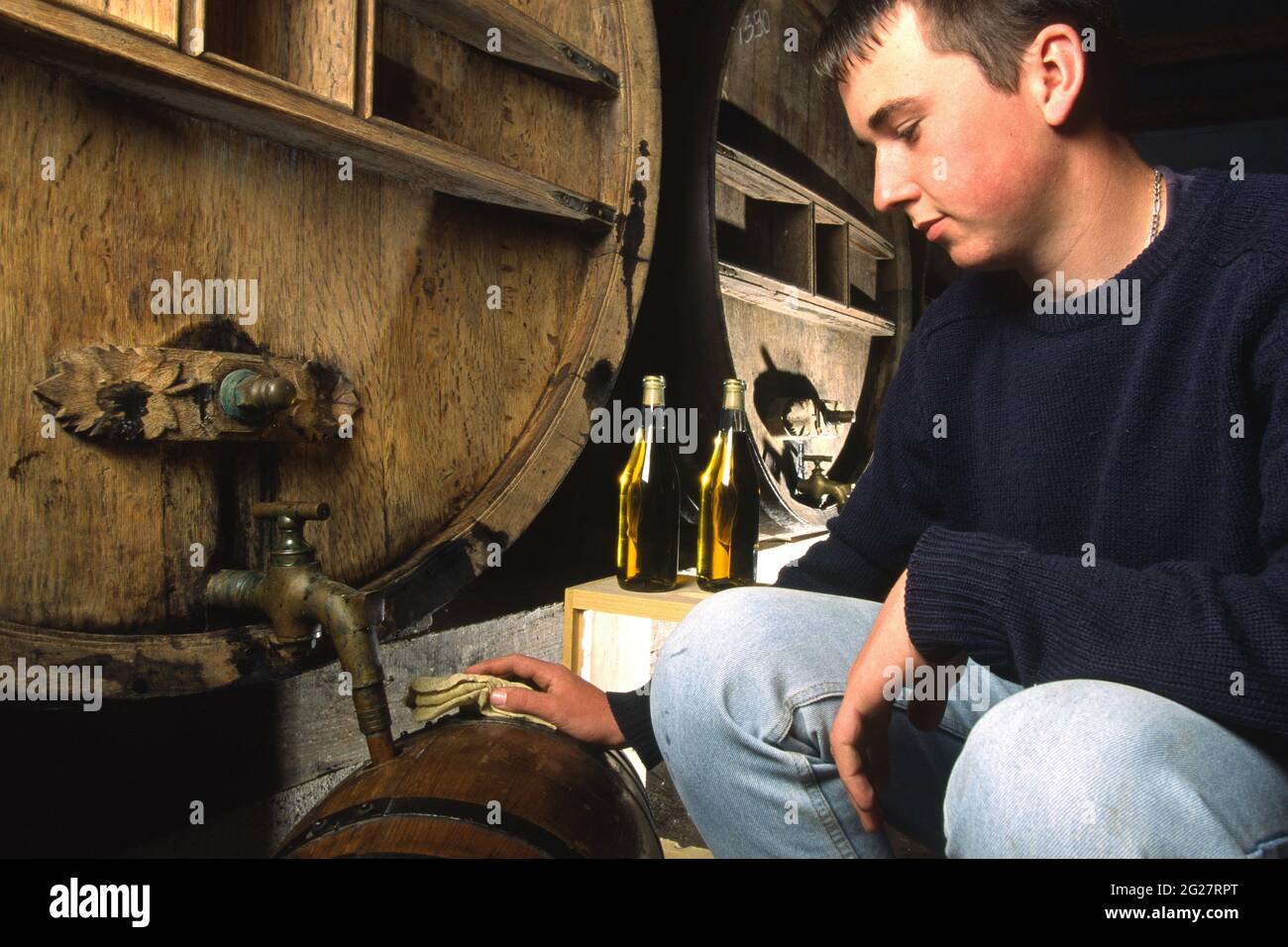 France Hauts De France Pas De Calais 62 Apiculture Jeune Apiculteur Regardant Le Remplissage Des Bouteilles De Mead Boisson Au Miel Fermente Photo Stock Alamy