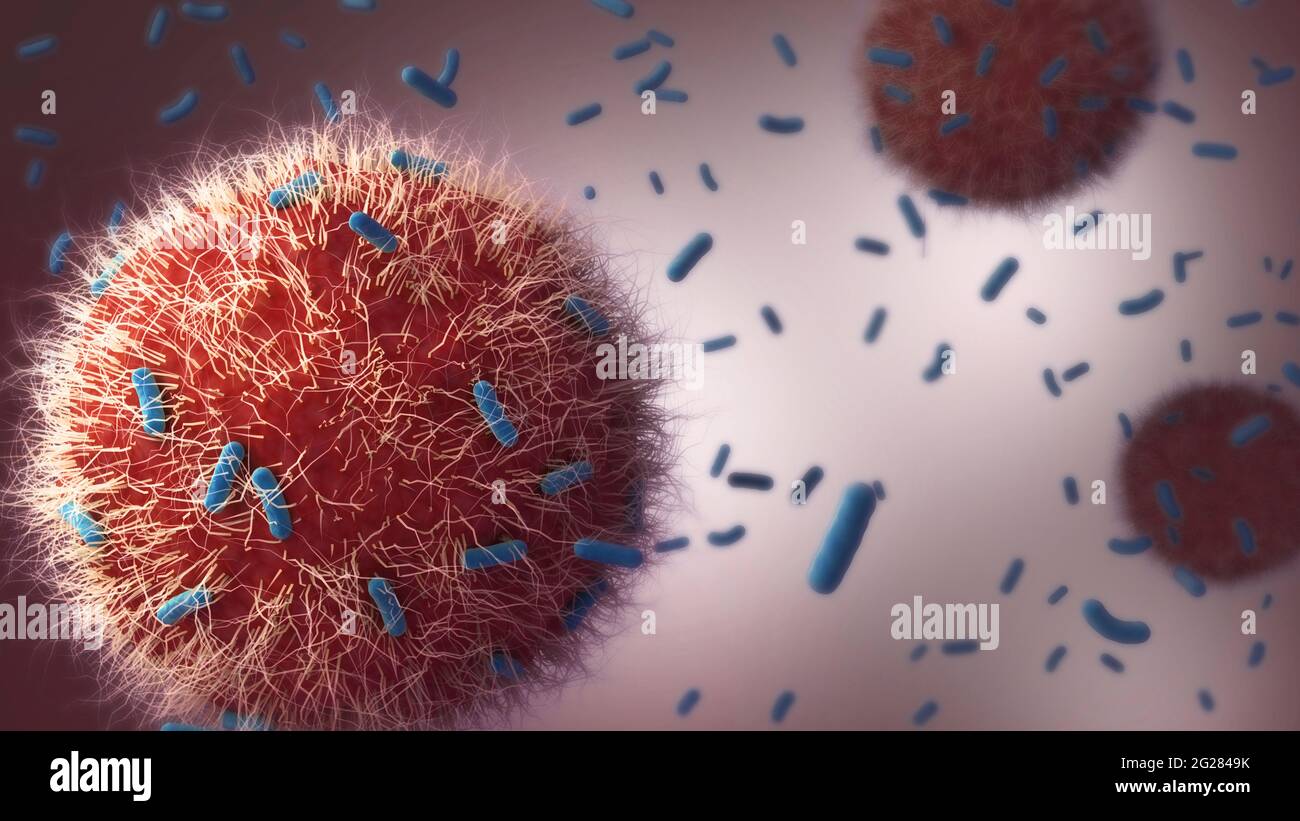Les cellules immunitaires attaquent les bactéries de la tuberculose. Banque D'Images