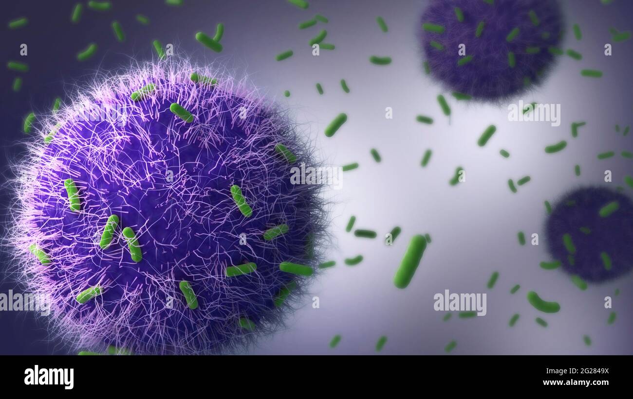 Les cellules immunitaires attaquent les bactéries de la tuberculose. Banque D'Images