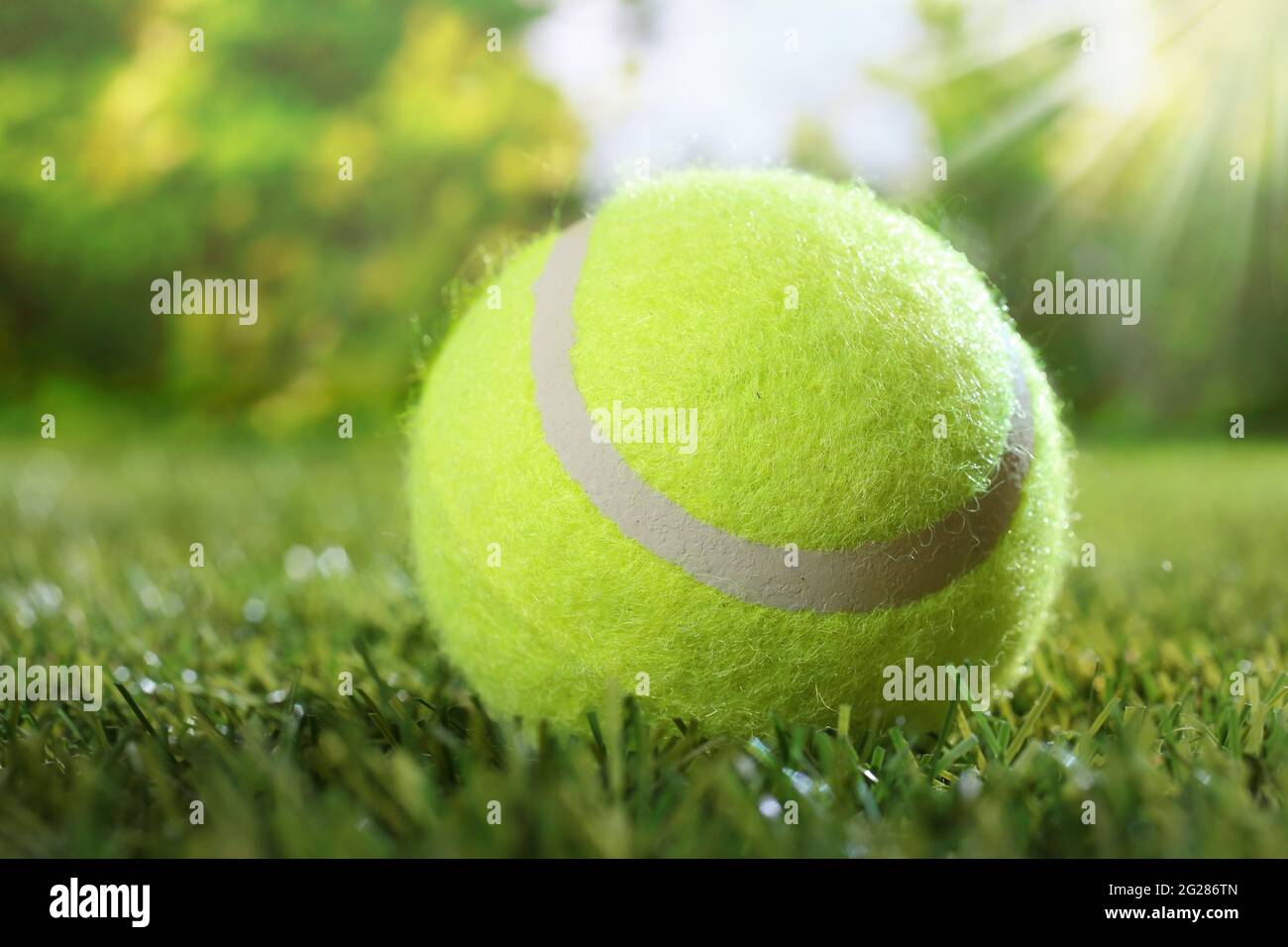 Gros plan de la balle de tennis verte sur une pelouse herbacée contre des  arbres flous et la lumière du soleil brillante pour l'activité estivale et  le concept de jeu sportif Photo