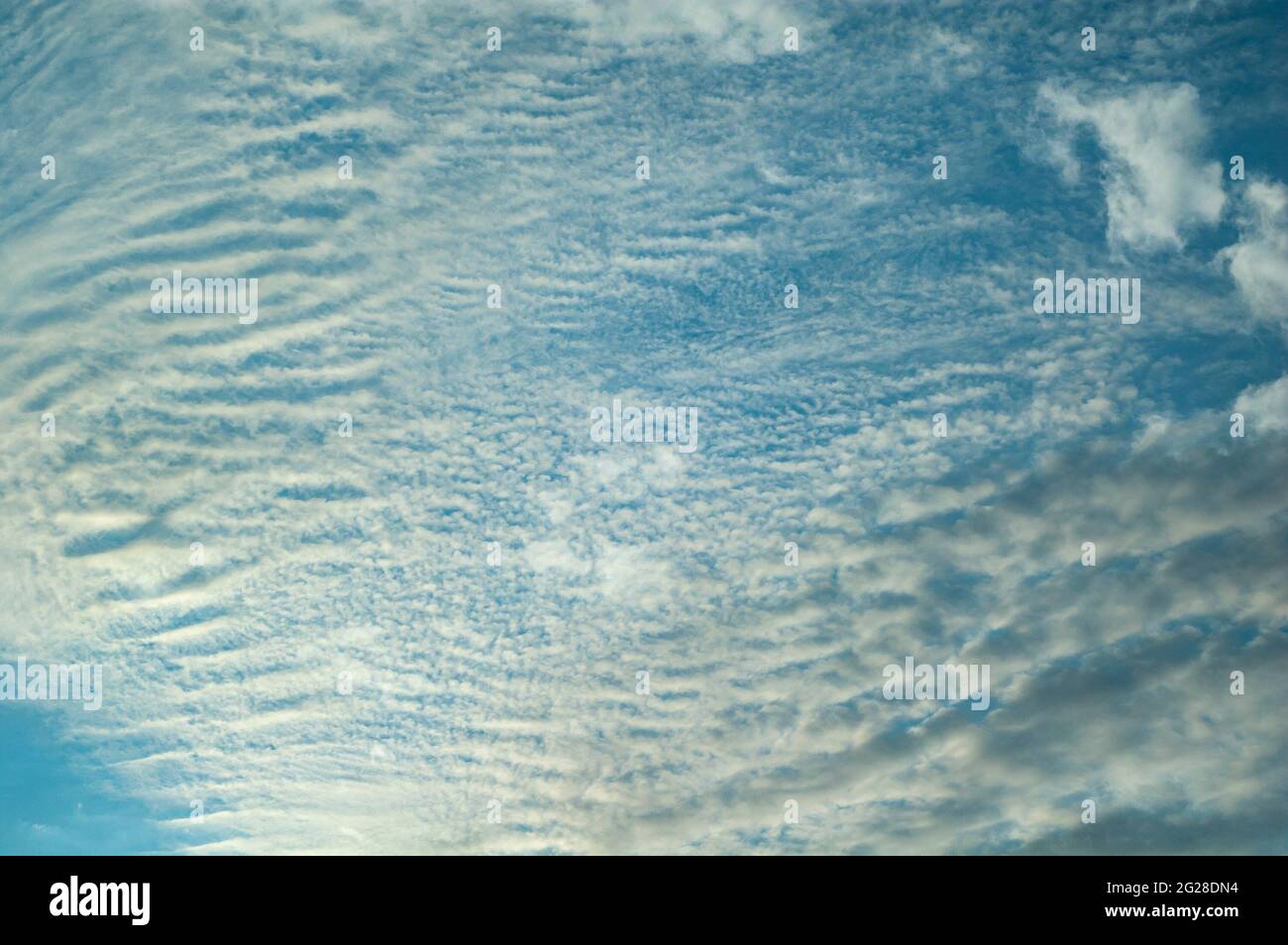 De beaux nuages dans un ciel bleu. Fond bleu ciel. Banque D'Images