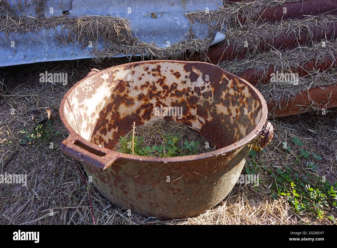 Un vieux plat rouillé en fonte jeté dans le jardin de campagne contre — free download