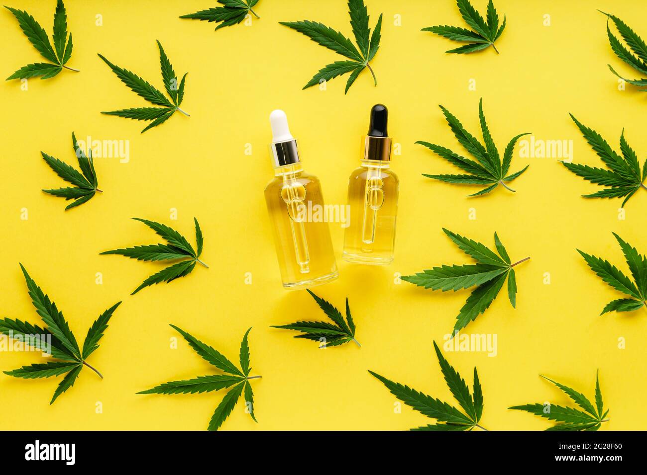 Sérum d'huile de chanvre en flacons compte-gouttes en verre avec feuilles de cannabis. Motif feuilles de cannabis avec produit cosmétique huile de CBD sur fond jaune avec espace de copie Banque D'Images