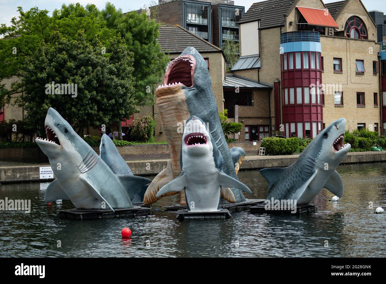 Les requins ! exposition Banque D'Images