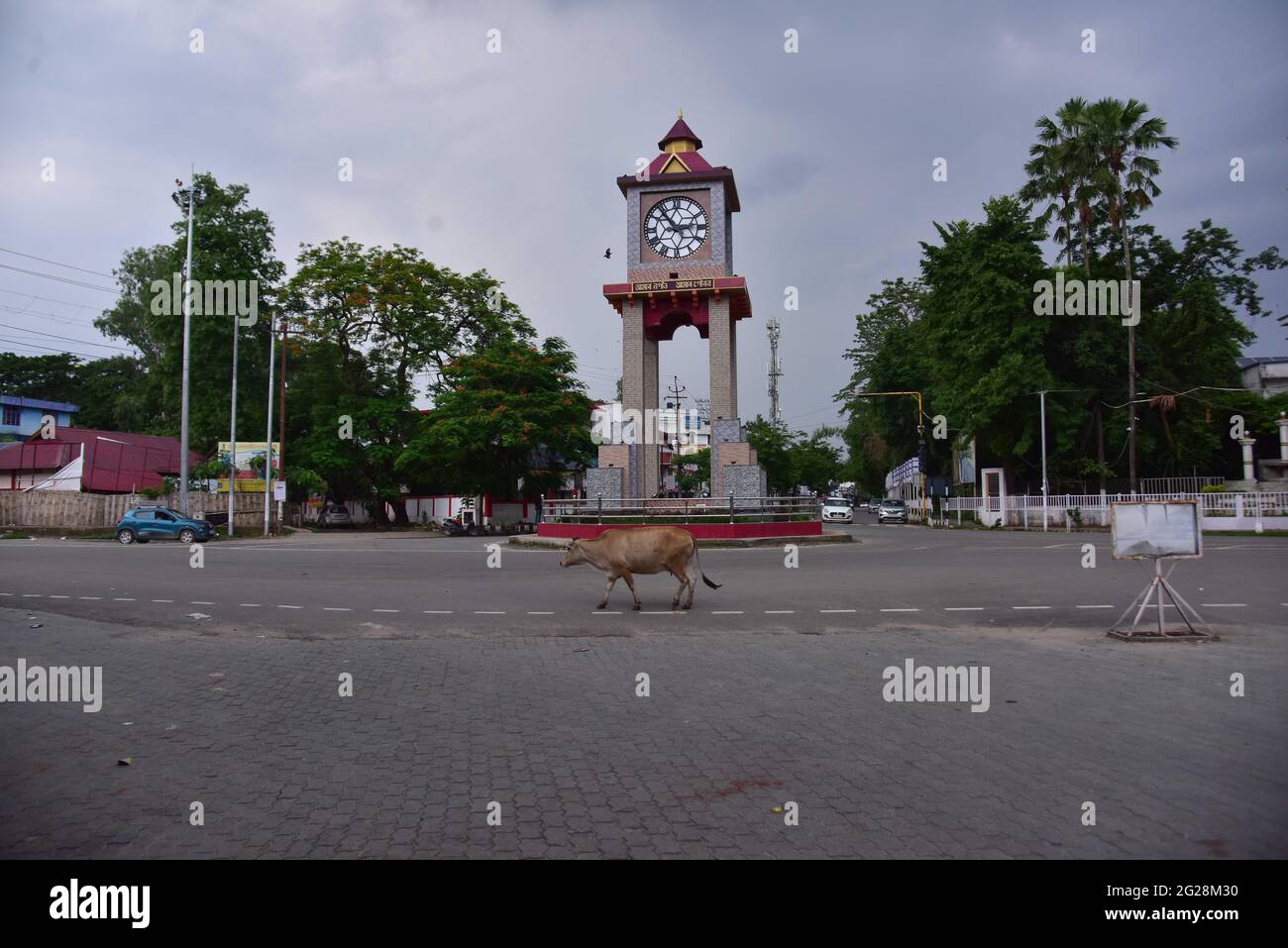 New Delhi, Inde. 8 juin 2021. Une vache marche dans une rue déserte lors d'un confinement imposé pour freiner la propagation du COVID-19 dans le district de Nagaon d'Assam, en Inde, le 8 juin 2021. Le chiffre COVID-19 de l'Inde a dépassé les 29 millions, atteignant 29,089,069, mercredi, a confirmé le ministère de la Santé du pays. Jusqu'à 92,596 nouveaux cas de pandémie ont été enregistrés au cours des 24 dernières heures. C'est le deuxième jour consécutif où moins de 100,000 cas ont été enregistrés dans le pays, après plus de deux mois. Credit: STR/Xinhua/Alay Live News Banque D'Images