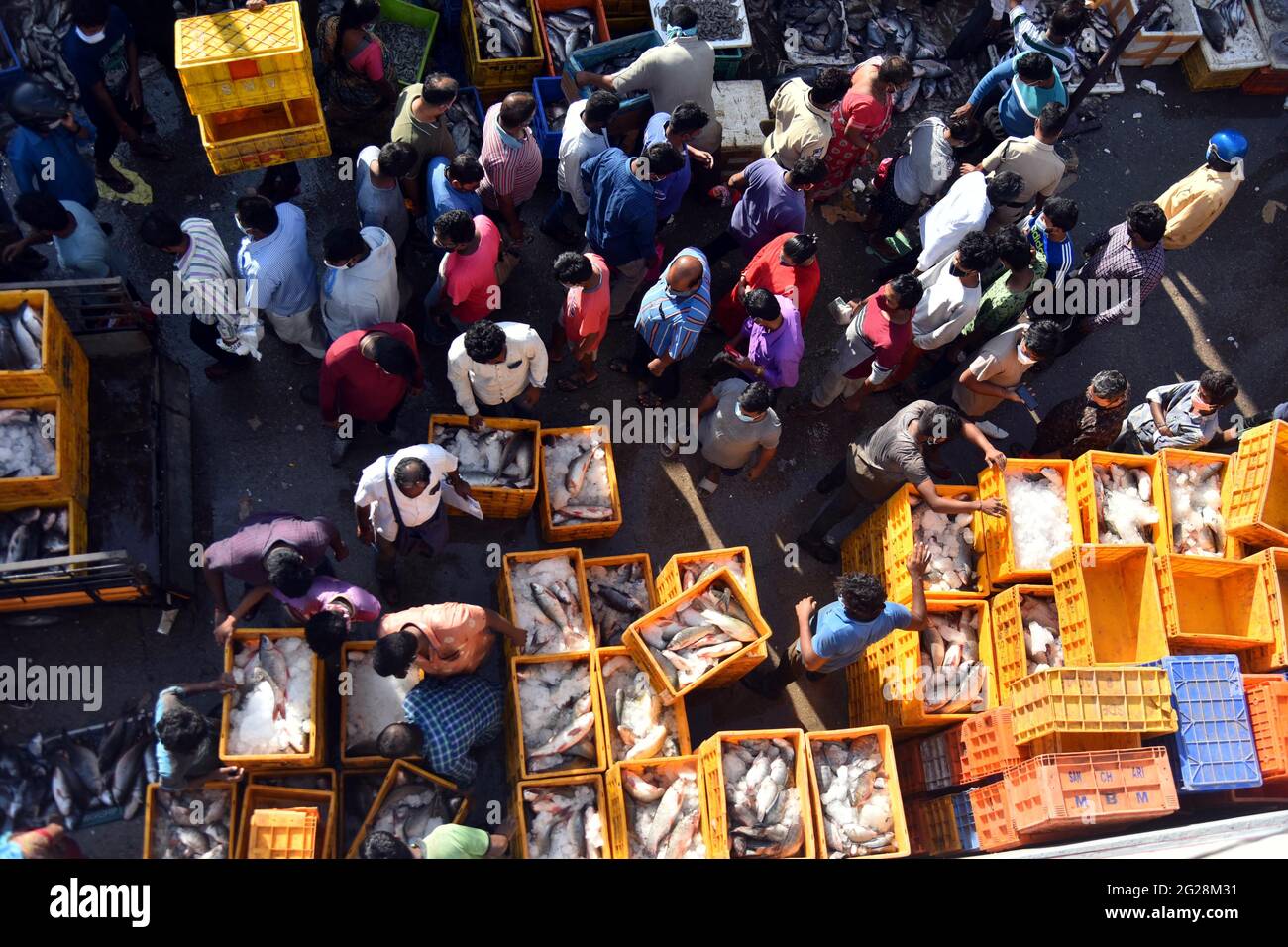 New Delhi, Inde. 8 juin 2021. Les gens achètent du poisson sur un marché de Secundrabad, à Telangana, en Inde, le 8 juin 2021. Le chiffre COVID-19 de l'Inde a dépassé les 29 millions, atteignant 29,089,069, mercredi, a confirmé le ministère de la Santé du pays. Jusqu'à 92,596 nouveaux cas de pandémie ont été enregistrés au cours des 24 dernières heures. C'est le deuxième jour consécutif où moins de 100,000 cas ont été enregistrés dans le pays, après plus de deux mois. Credit: STR/Xinhua/Alay Live News Banque D'Images