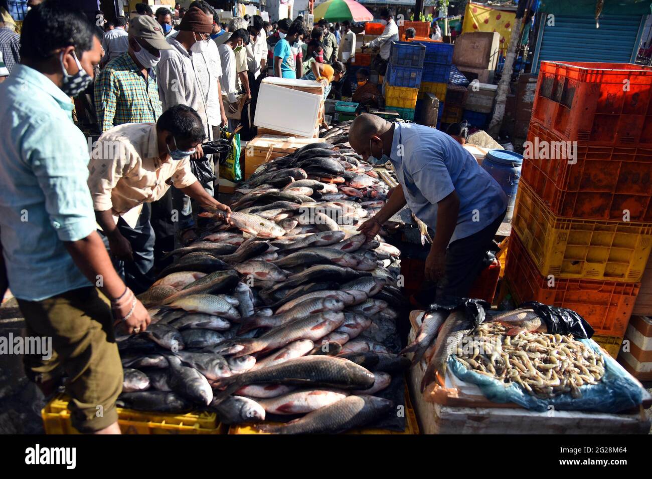 New Delhi, Inde. 8 juin 2021. Les gens achètent du poisson sur un marché de Secundrabad, à Telangana, en Inde, le 8 juin 2021. Le chiffre COVID-19 de l'Inde a dépassé les 29 millions, atteignant 29,089,069, mercredi, a confirmé le ministère de la Santé du pays. Jusqu'à 92,596 nouveaux cas de pandémie ont été enregistrés au cours des 24 dernières heures. C'est le deuxième jour consécutif où moins de 100,000 cas ont été enregistrés dans le pays, après plus de deux mois. Credit: STR/Xinhua/Alay Live News Banque D'Images