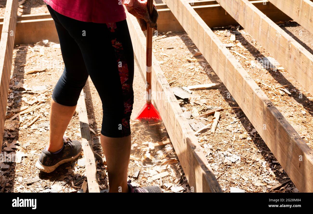 Un qomen utilise un râteau pour enfants pour nettoyer entre les poutres de support en bois avant l'installation de la nouvelle plate-forme composite. Banque D'Images