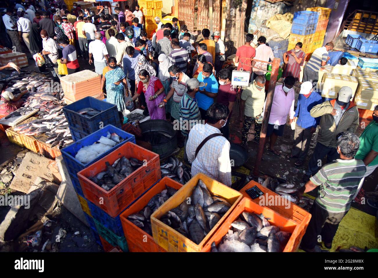 New Delhi, Inde. 8 juin 2021. Les gens achètent du poisson sur un marché de Secundrabad, à Telangana, en Inde, le 8 juin 2021. Le chiffre COVID-19 de l'Inde a dépassé les 29 millions, atteignant 29,089,069, mercredi, a confirmé le ministère de la Santé du pays. Jusqu'à 92,596 nouveaux cas de pandémie ont été enregistrés au cours des 24 dernières heures. C'est le deuxième jour consécutif où moins de 100,000 cas ont été enregistrés dans le pays, après plus de deux mois. Credit: STR/Xinhua/Alay Live News Banque D'Images