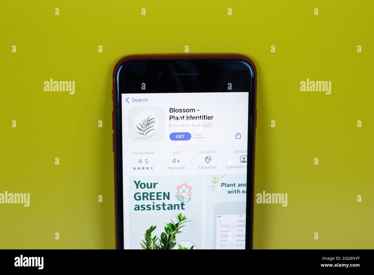 New York, Etats-Unis - 1er juin 2021 : logo de l'application mobile Blossom Plant identifier sur l'écran du téléphone, icône en gros plan, Editorial Banque D'Images New York, Etats-Unis - 1er juin 2021 : logo de l'application mobile Blossom Plant identifier sur l'écran du téléphone, icône en gros plan, Editorial Banque D'Images