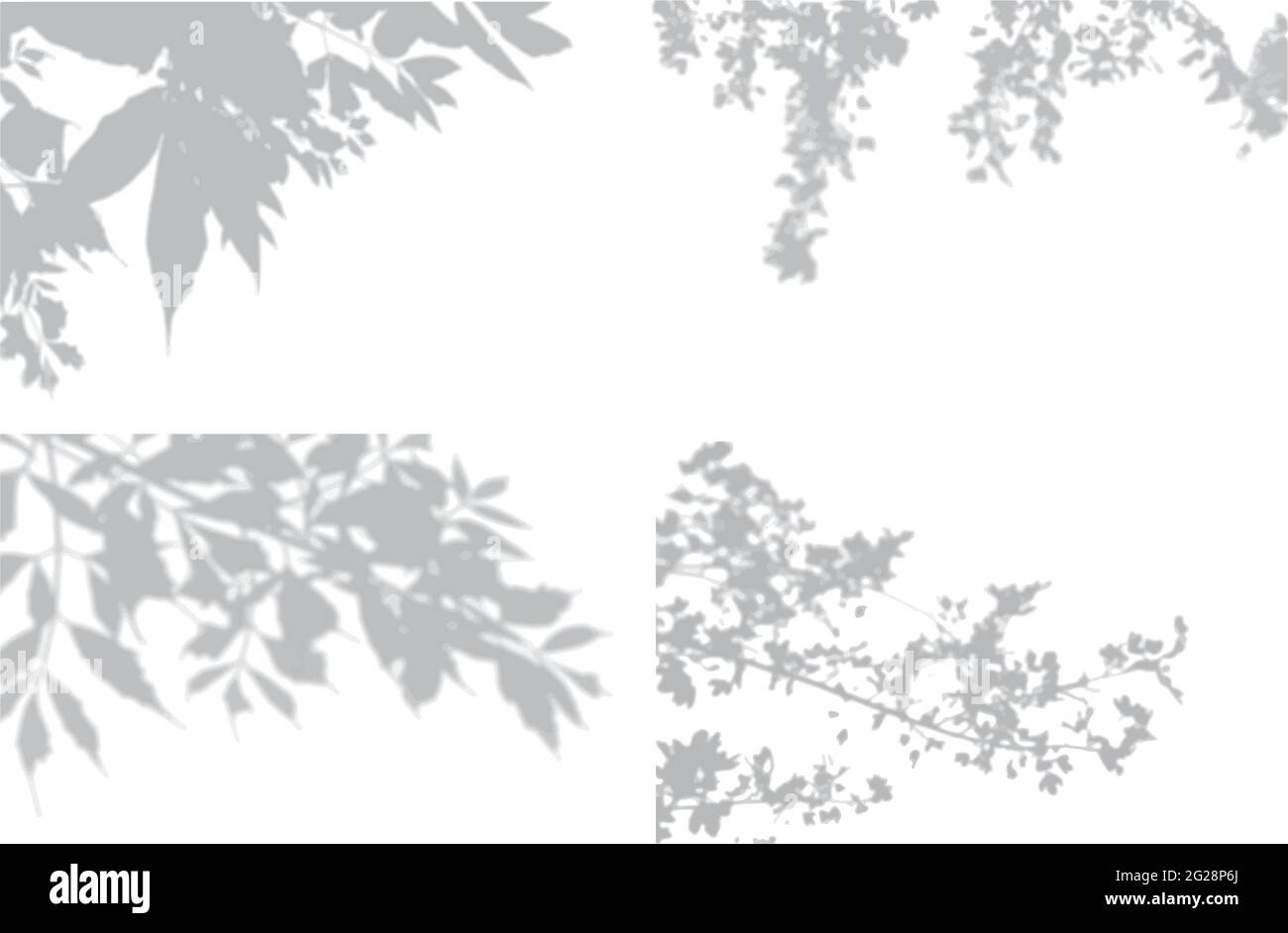 Ensemble d'effets d'ombre transparents pour le marquage. Doublure en ombre pour les présentations de maquettes. Ombre des branches d'arbres pour des effets d'éclairage naturels Illustration de Vecteur