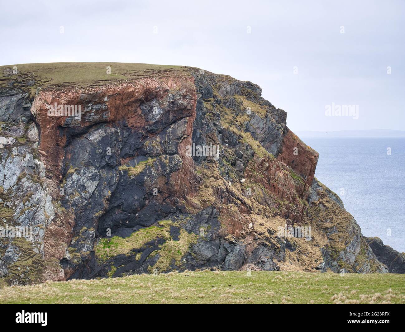 Mélanges frappants de différents types de roches grises et rouges dans les falaises côtières de la Ness de Hillswick dans Northmavine, Mainland, Shetland, Royaume-Uni Banque D'Images