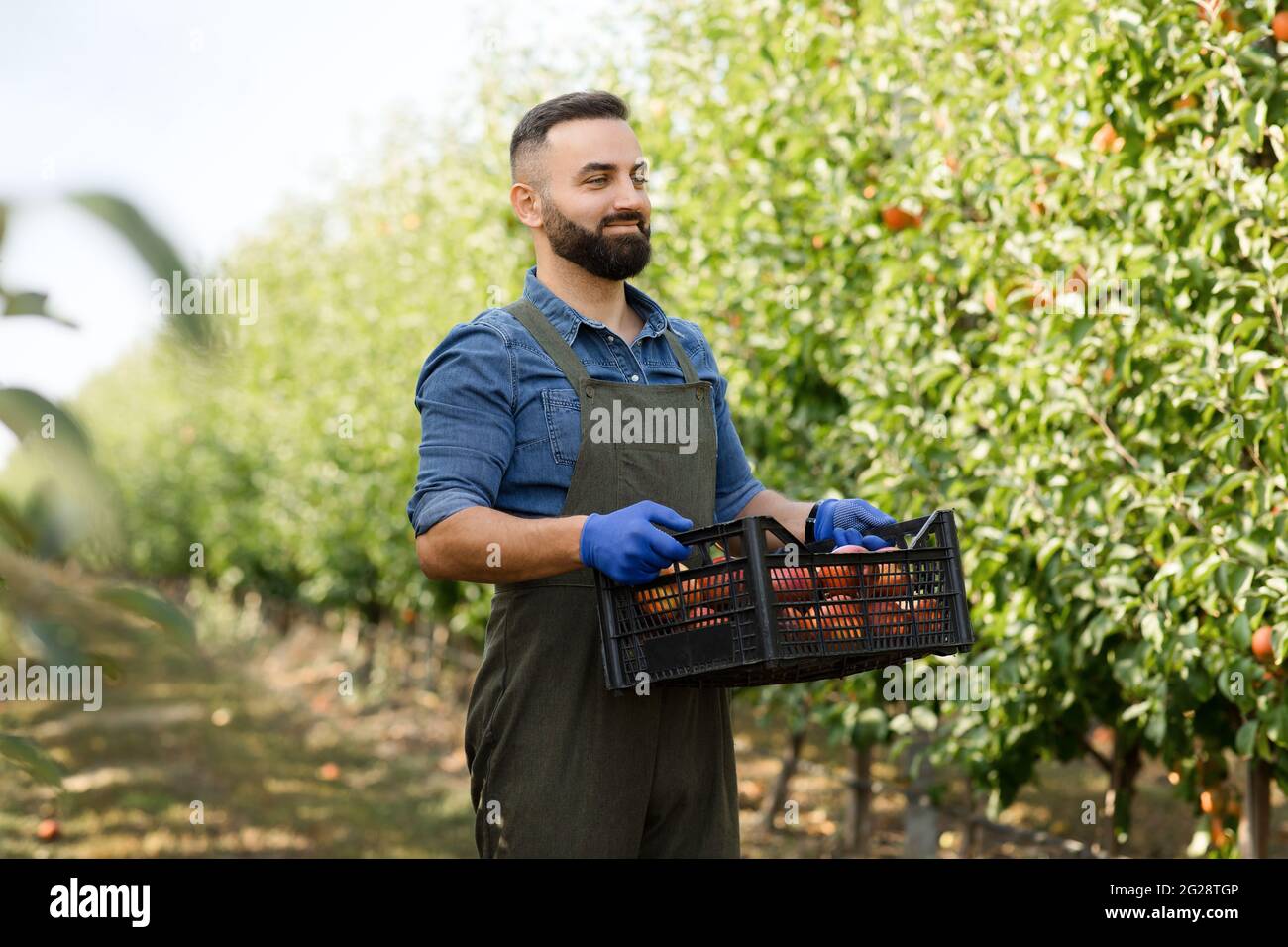 Travailler sur une ferme moderne biologique à l'extérieur, les petites entreprises et la nourriture saine Banque D'Images