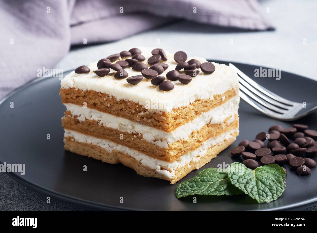 Génoise avec crème de beurre et morceaux de chocolat menthe sur une assiette noire. Dessert pour un événement de fête ou une fête d'anniversaire Banque D'Images Génoise avec crème de beurre et morceaux de chocolat menthe sur une assiette noire. Dessert pour un événement de fête ou une fête d'anniversaire Banque D'Images