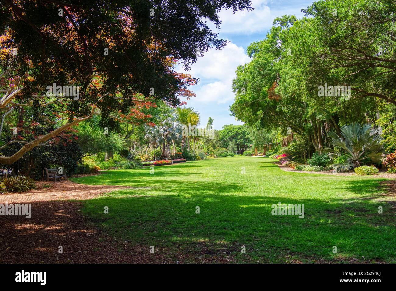 La grande pelouse des jardins botaniques Marie Selby à Sarasota en Floride Banque D'Images
