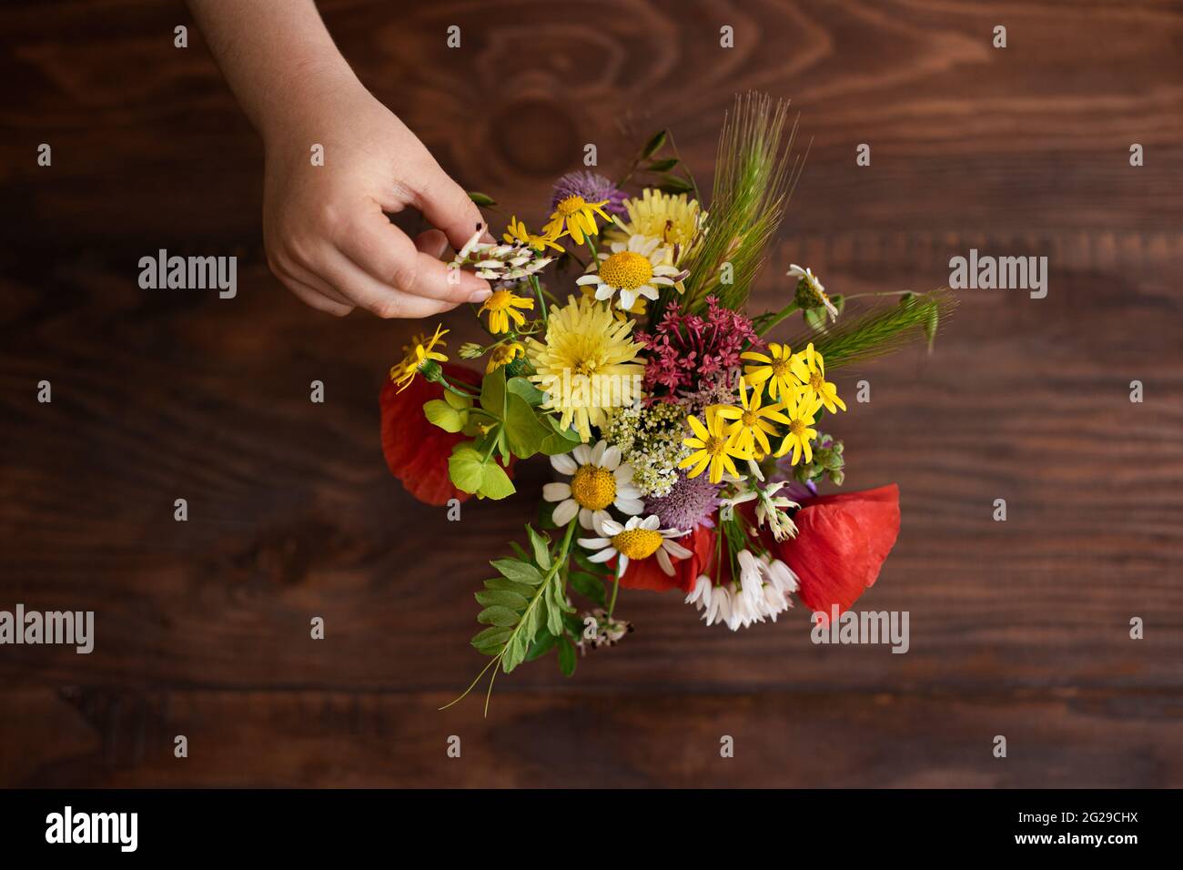 Vue en hauteur de la petite main plaçant des fleurs sauvages d'été dans un vase Banque D'Images