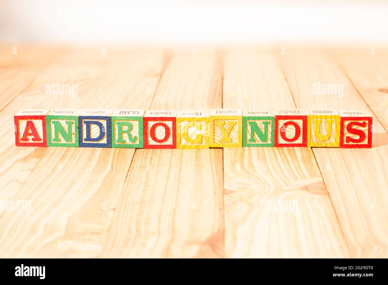 Cubes en bois spectaculaires avec le mot ANDROGYNES sur une surface en bois. Banque D'Images