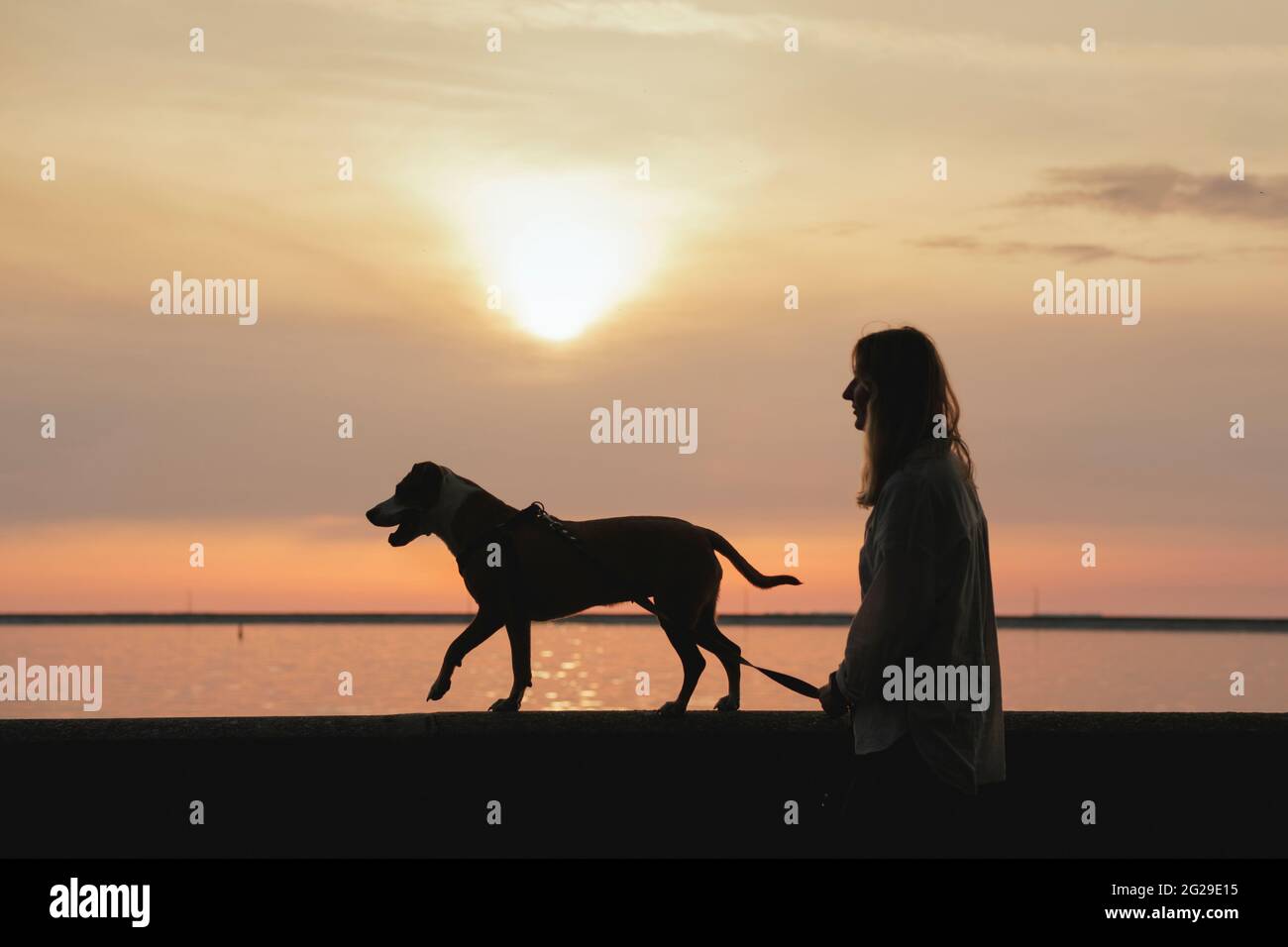 Silhouette d'une femme marchant avec un chien le long du quai au coucher du soleil Banque D'Images