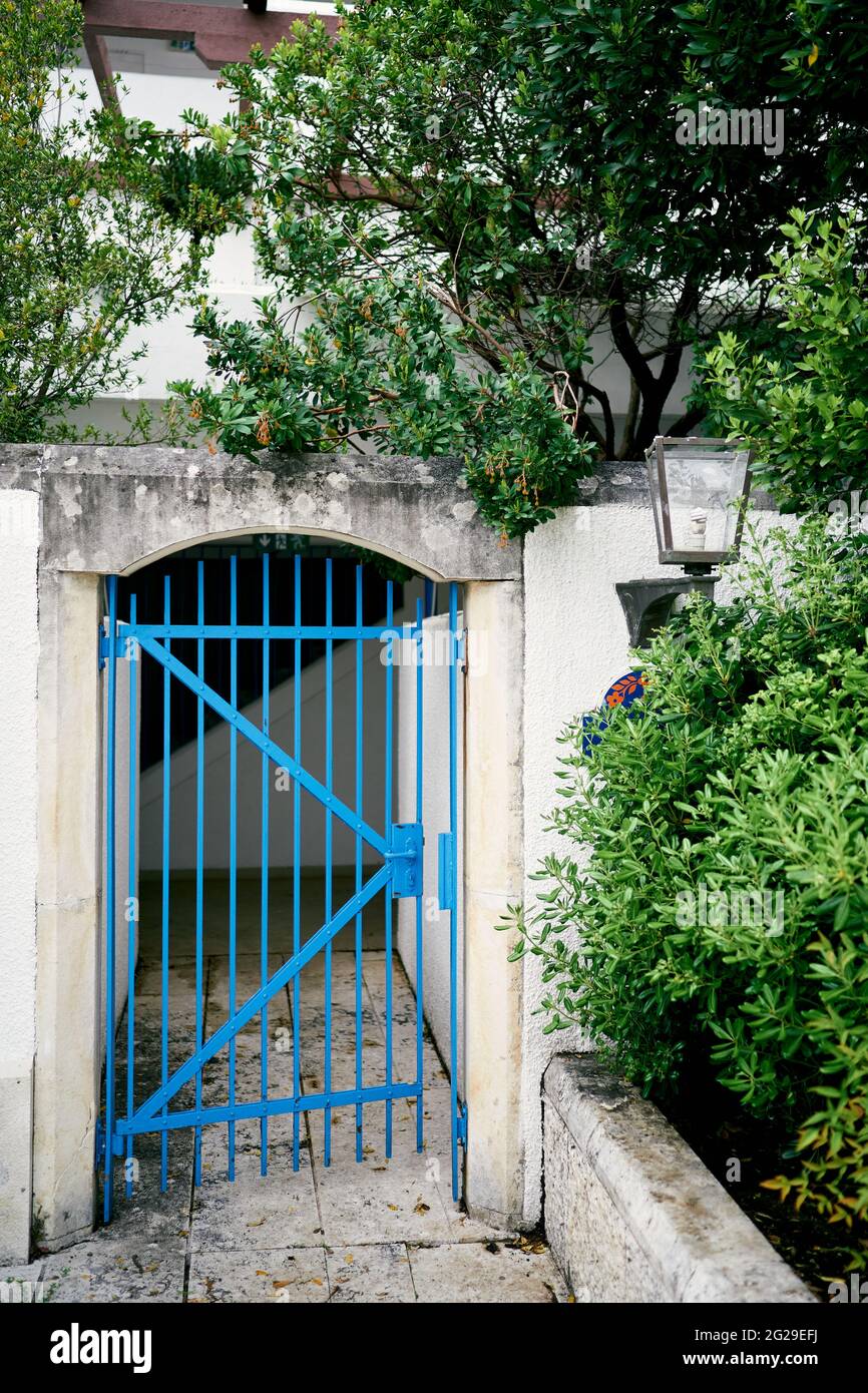 Porte en métal à l'entrée du bâtiment près des arbres verts et des buissons Banque D'Images