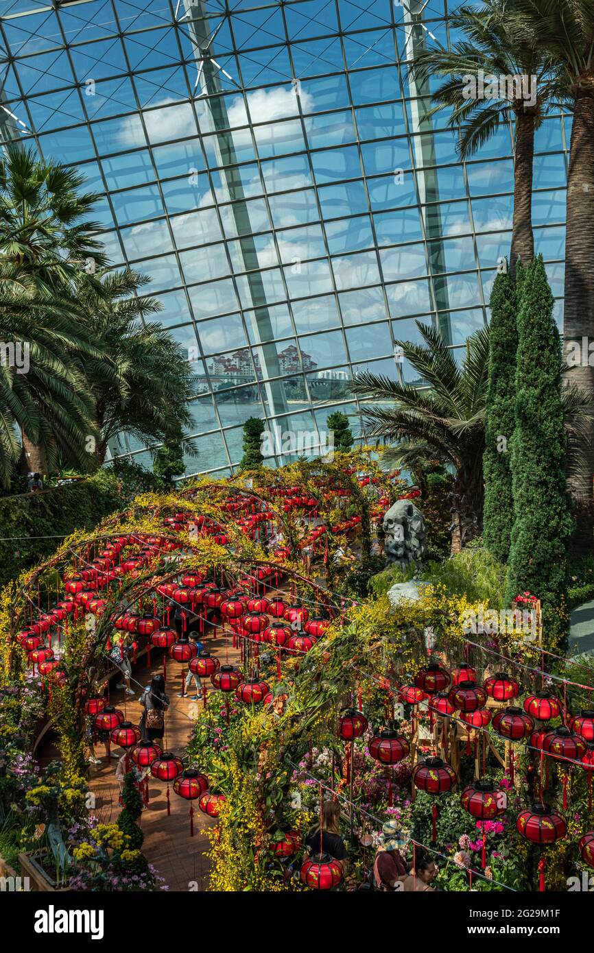 Gardens By The Bay, Singapour Banque D'Images