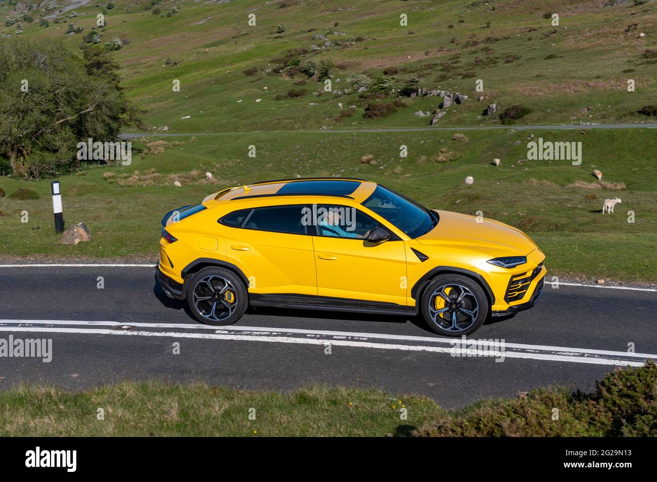 Un SUV Lamborghini Urus photographié sous le soleil de la soirée à Llangynidr, Powys, pays de Galles, Royaume-Uni. Spéc. : moteur V8 biturbo de 4 litres 0-62 mi/h 3.6 s Haut Banque D'Images