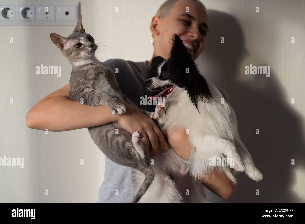 Dog And Cat Fighting Banque D Image Et Photos Alamy