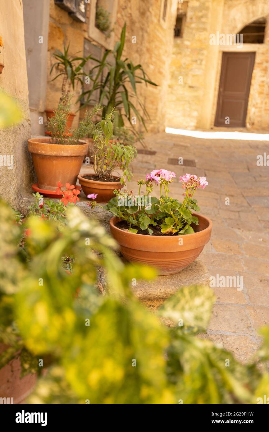 Pots de fleurs dans une allée dans la ville médiévale de Volterry, Toscane, Italie Banque D'Images