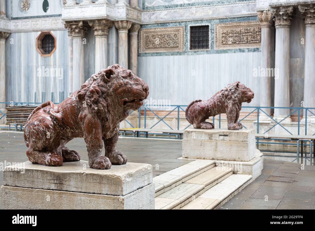 Deux lions de marbre marron s'assoient sur un escalier de la place Saint-Marc à Venise, sur des socles devant le mur latéral de la cathédrale Banque D'Images