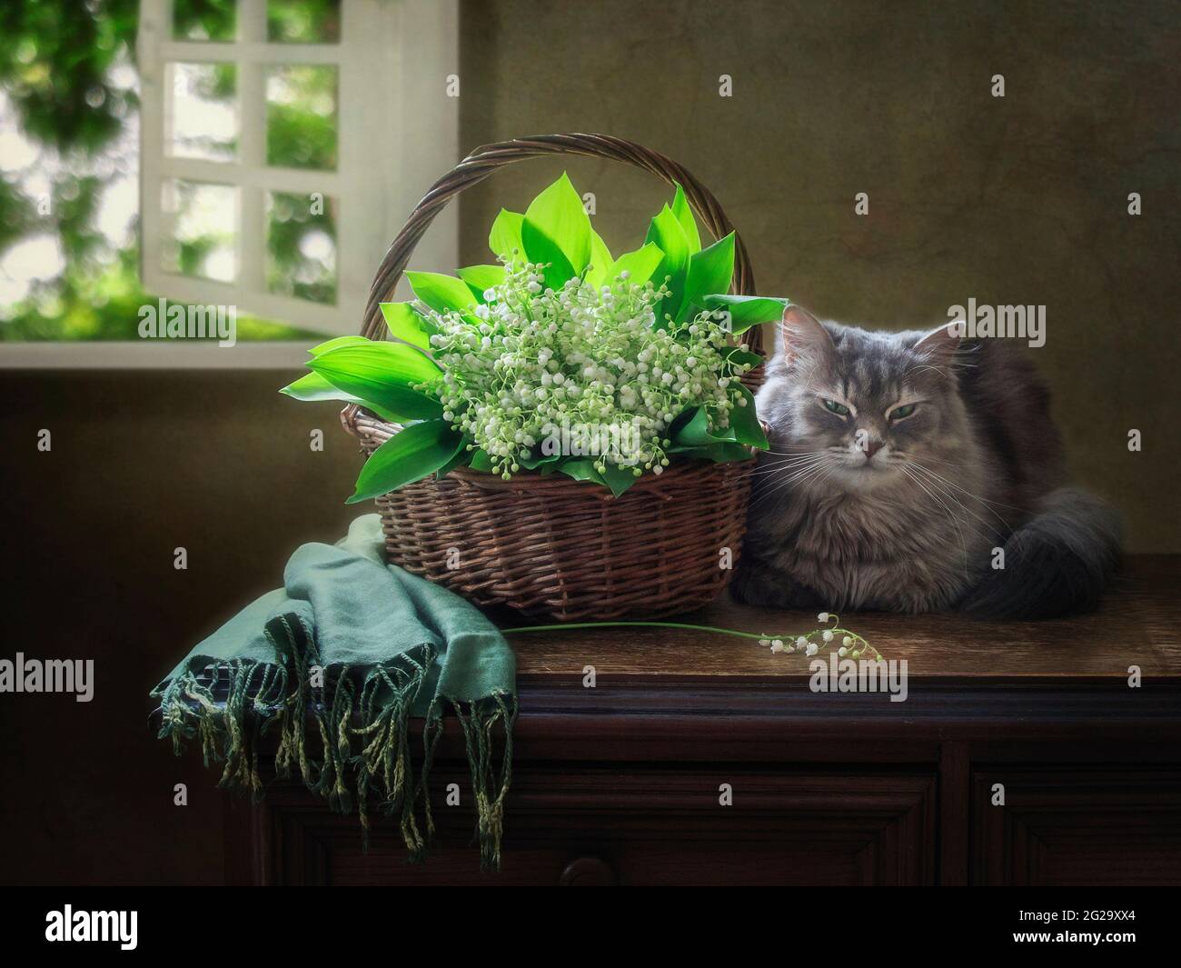 Fleurs encore la vie avec joli chaton gris Banque D'Images