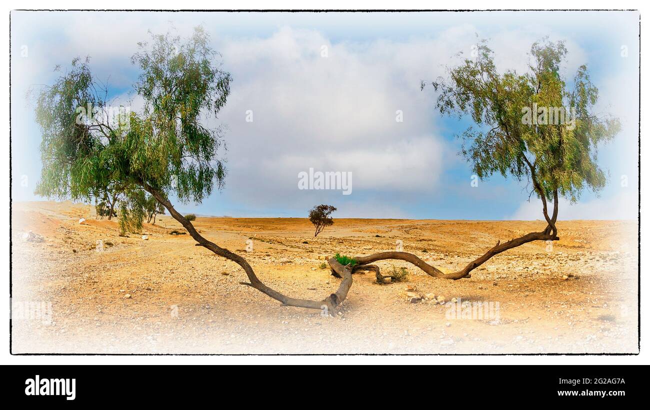 Paysage du désert d'Arava, Israël Banque D'Images