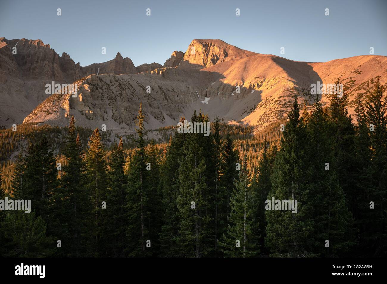 Wheeler Peak dans la lumière du matin dans le parc national de Great Basin Banque D'Images