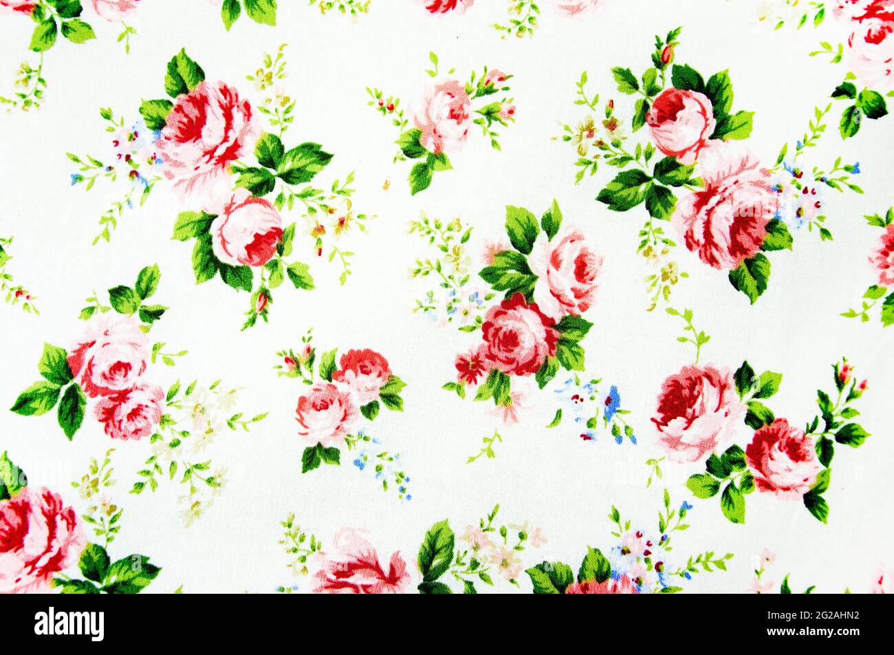 Motif rose vintage sur fond de tissu. Banque D'Images