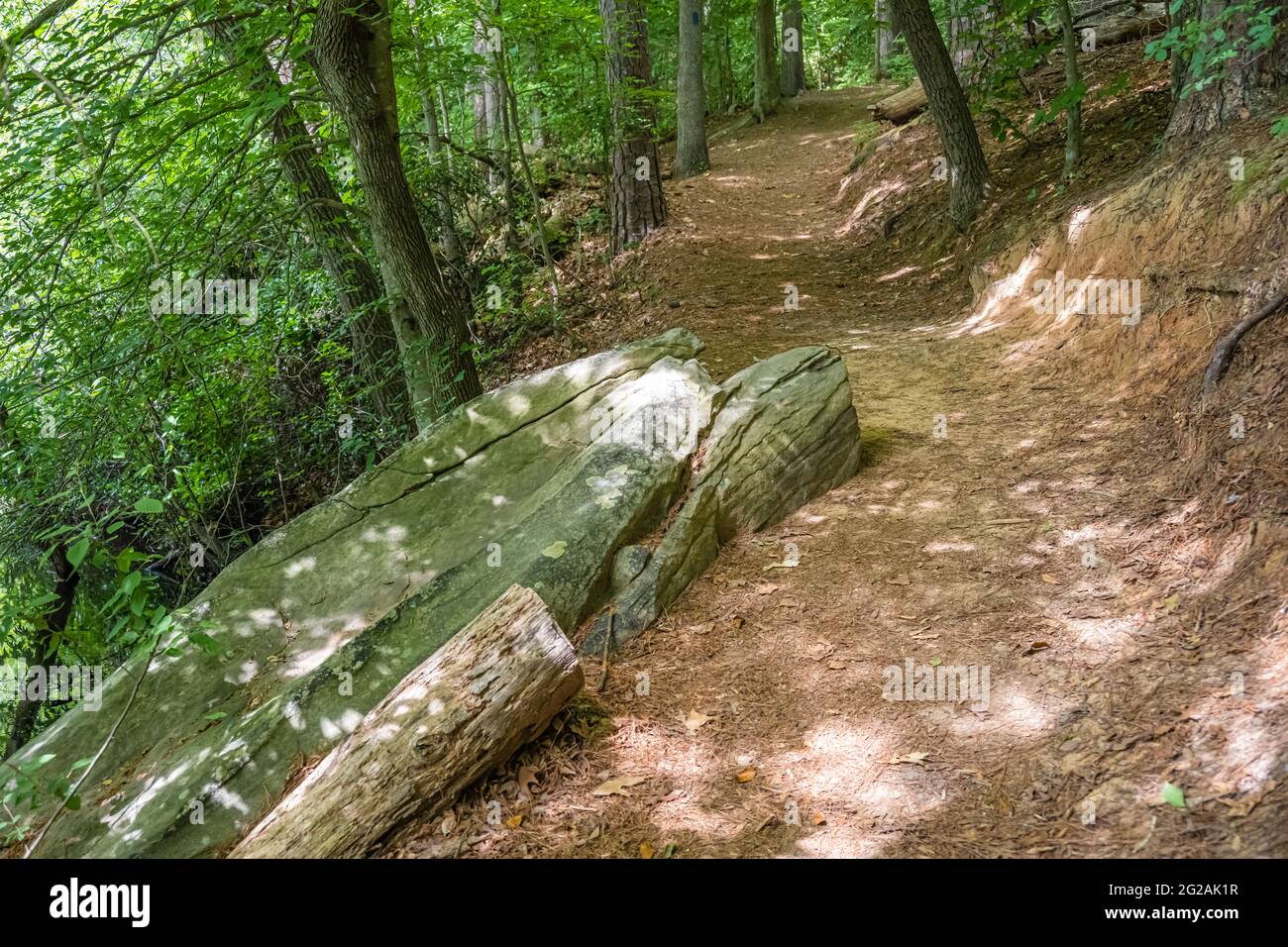 Sentier de l'étang Kingfisher au Centre naturel de Chattahoochee à Roswell, en Géorgie. (ÉTATS-UNIS) Banque D'Images