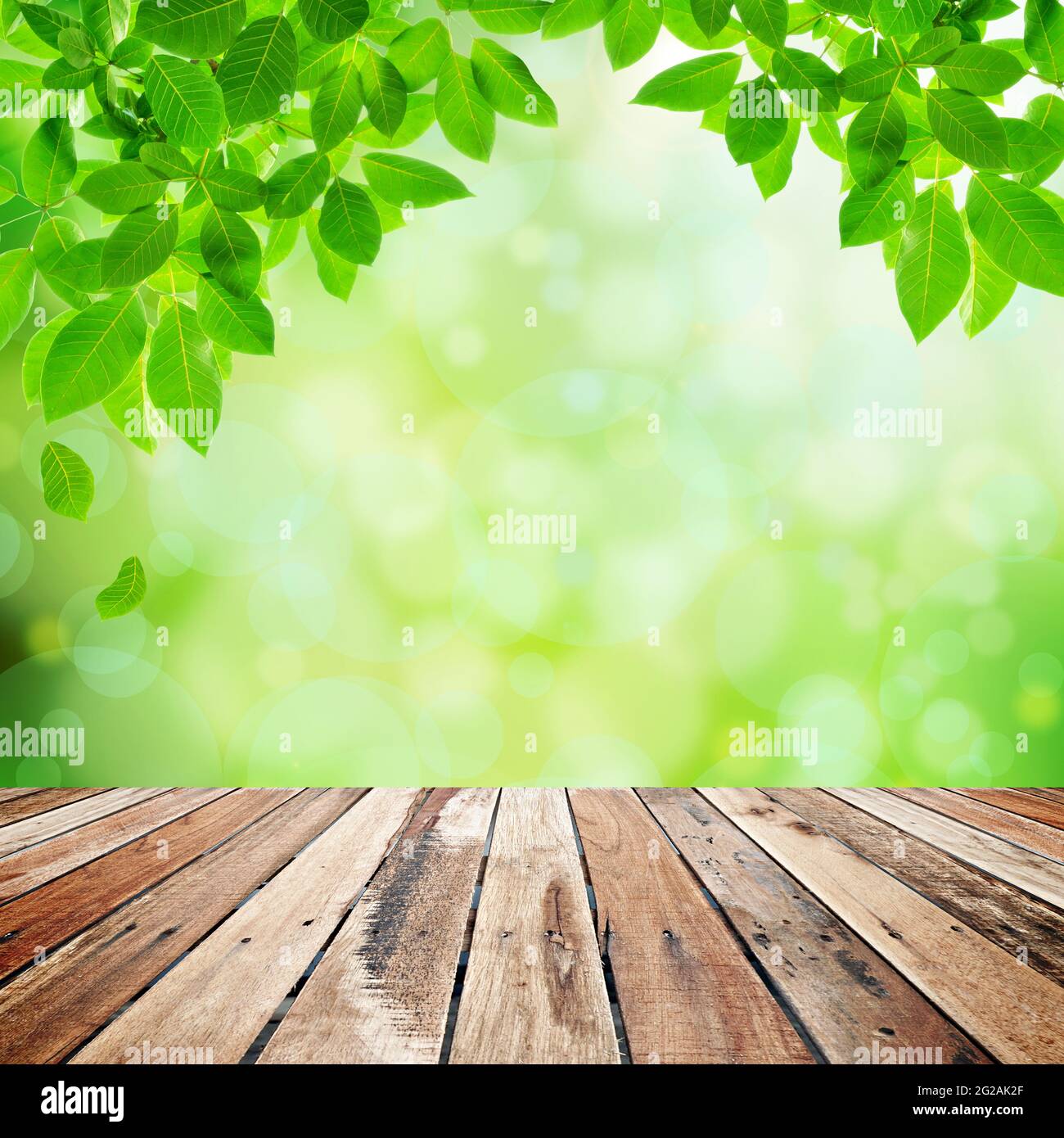 Terrasse en bois avec feuilles de vert naturel et arrière-plan bokeh Banque D'Images