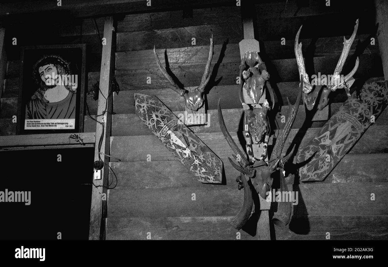 Sungai Uluk Palin, Kapuas Hulu, Kalimantan occidental, Indonésie. 20 mars 2007. Décorations murales à l'intérieur de la maison d'Amet située près de la longue maison traditionnelle de la communauté de Dayak Tamambaloh. Amet est membre du clan Tamambaloh, qui a construit sa propre maison neuve sur le terrain, en dehors de la maison longue. Il apporta une partie de l'héritage de sa famille.--photographié sur film noir et blanc, numérisé, numérisé. Banque D'Images