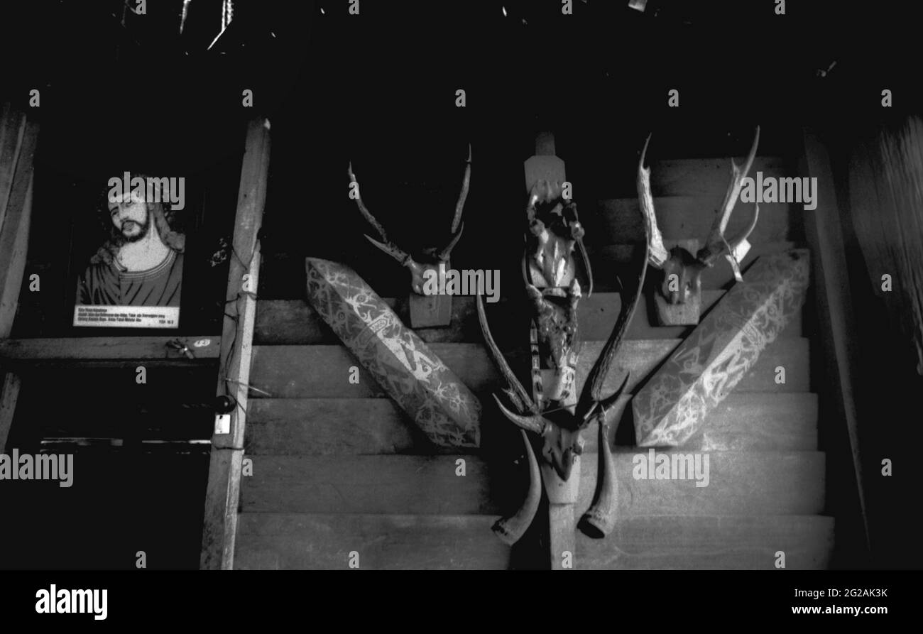 Sungai Uluk Palin, Kapuas Hulu, Kalimantan occidental, Indonésie. 20 mars 2007. Décorations murales à l'intérieur de la maison d'Amet située près de la longue maison traditionnelle de la communauté de Dayak Tamambaloh. Amet est membre du clan Tamambaloh, qui a construit sa propre maison neuve sur le terrain, en dehors de la maison longue. Il apporta une partie de l'héritage de sa famille.--photographié sur film noir et blanc, numérisé, numérisé. Banque D'Images