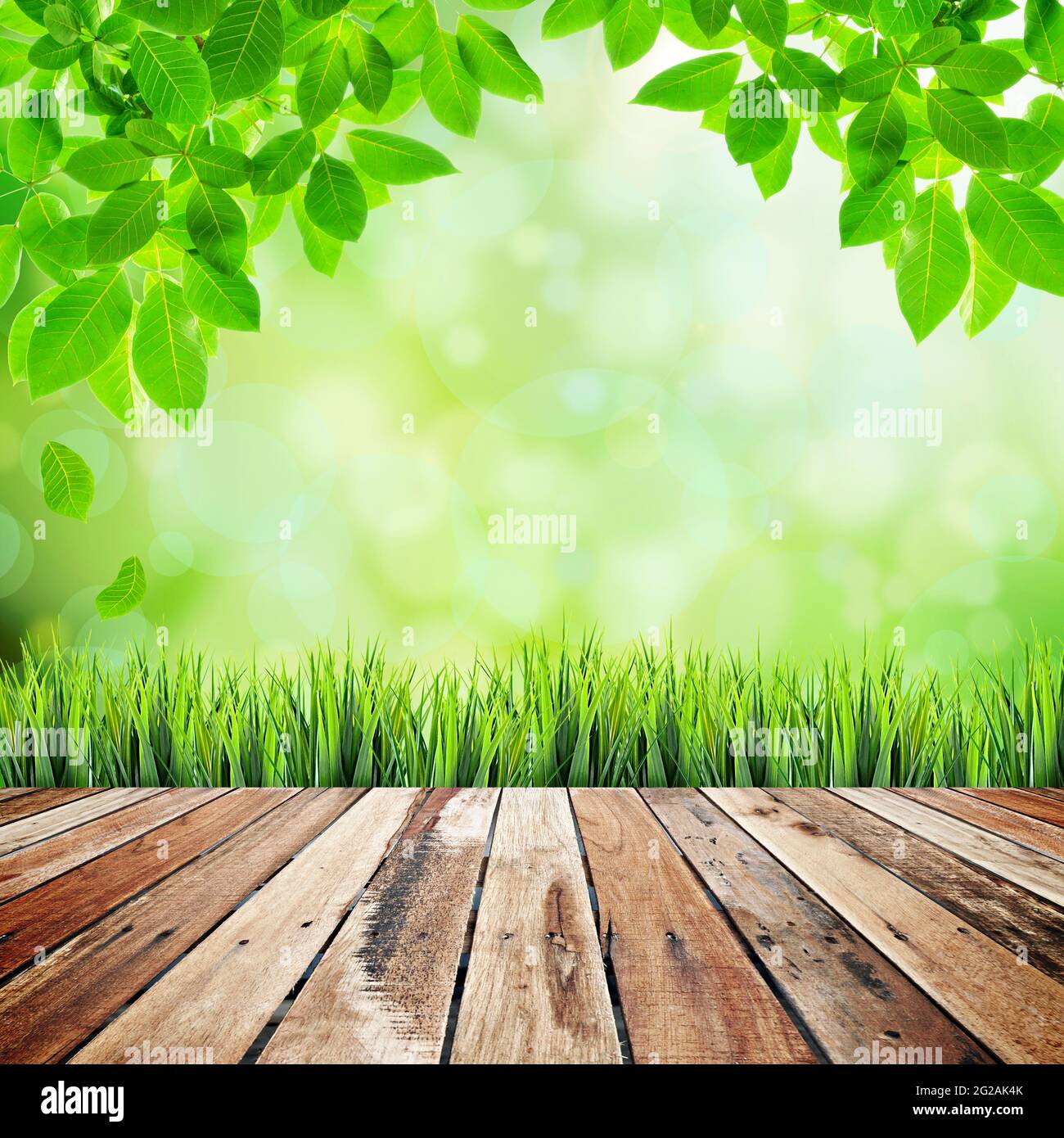 Terrasse en bois avec feuilles de vert naturel et arrière-plan bokeh Banque D'Images