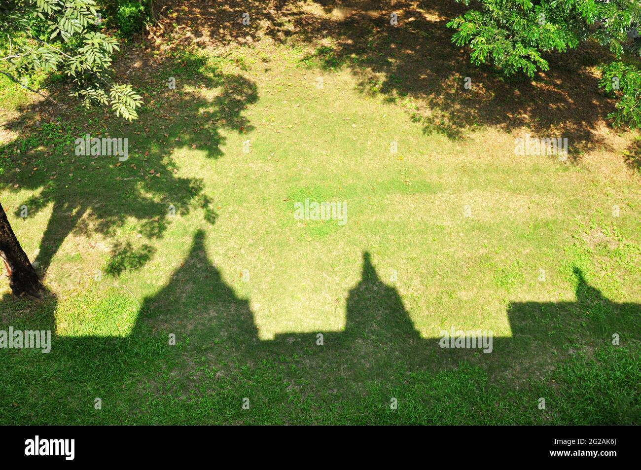 Ombre des pagodes sur l'herbe verte Banque D'Images