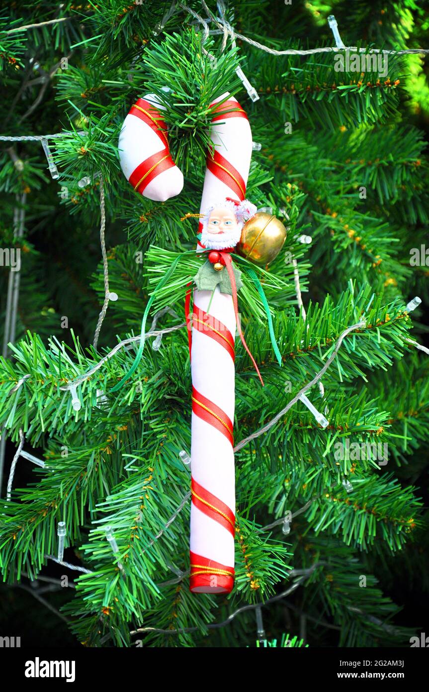 Décoration de canne à sucre sur l'arbre de Noël Banque D'Images