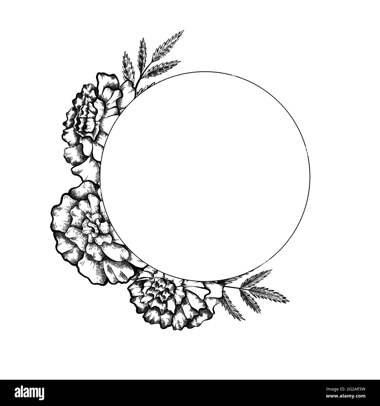 Cadre rond avec croquis monochrome de marigolds avec feuilles et espace de copie. Cartes d'invitation avec tête de fleur. Modèle naturel de contour vectoriel pour post Illustration de Vecteur
