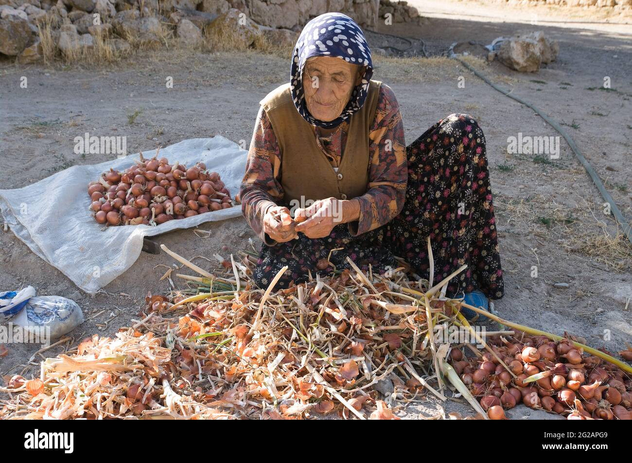 Yaprakhisar, Turquie - 31 juillet 2010 : une femme musulmane âgée nettoie les oignons assis dans une rue de terre de Yaprakhisar, près de la vallée d'Ihlara Banque D'Images