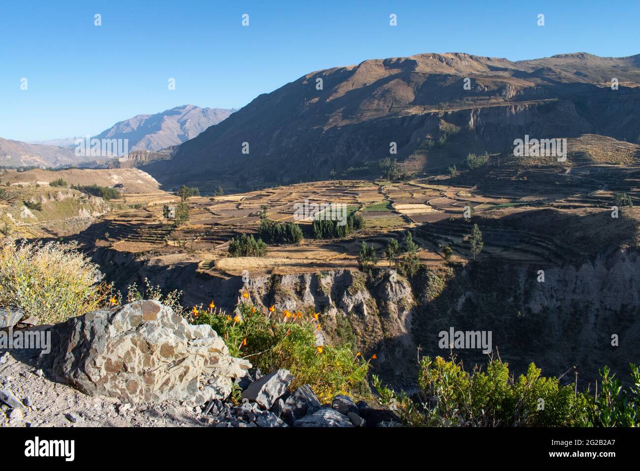 Les terrasses de l'Inca sont encore utilisées par les agriculteurs aujourd'hui au Canyon de Colca, au Pérou Banque D'Images